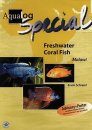 Freshwater Coral Fish: Malawi