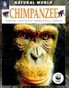Chimpanzee: Habitats, Life Cycles, Food Chains, Threats