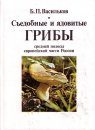 Edible and Poisonous Mushrooms of the Central Part of European Russia: A Guide [Russian]