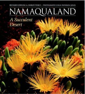 Namaqualand: A Succulent Desert