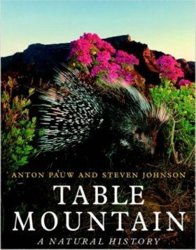 Table Mountain