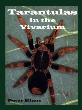 Tarantulas in the Vivarium