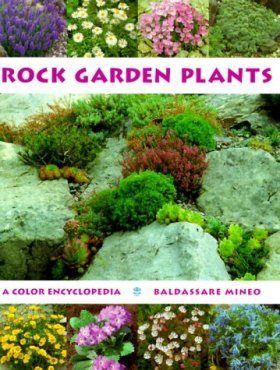 Rock Garden Plants
