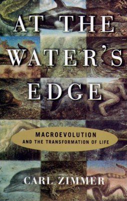At the Water's Edge