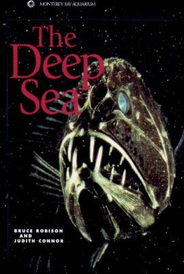 The Deep Sea