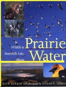 Prairie Water