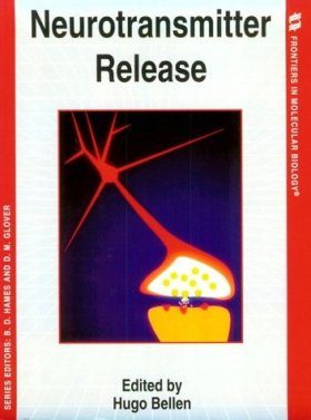 Neurotransmitter Release
