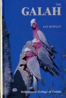 The Galah: Behavioural Ecology of Galahs (Eolophus roseicapillus) in the Wheatbelt of Western Australia