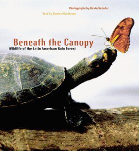 Beneath the Canopy