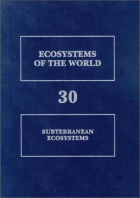 Subterranean Ecosystems
