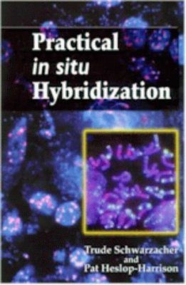 Practical in situ Hybridization