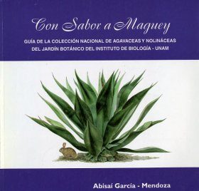 Con Sabor a Maguey