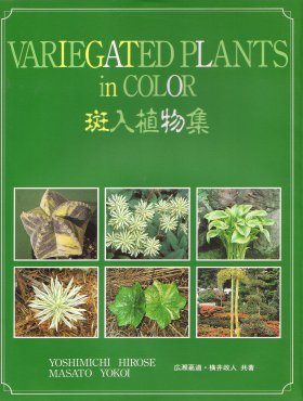 Variegated Plants in Color