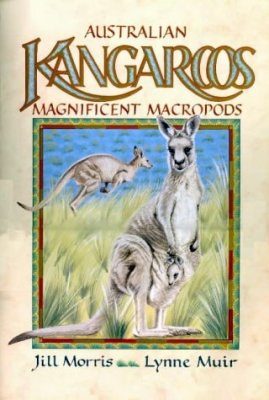 Australian Kangaroos