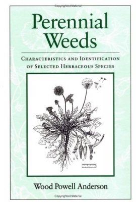 Perennial Weeds