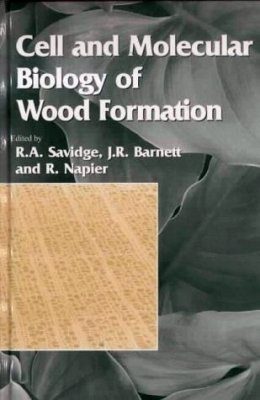 Cell and Molecular Biology of Wood Formation