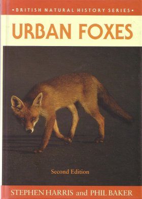 Urban Foxes