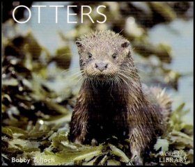 Otters