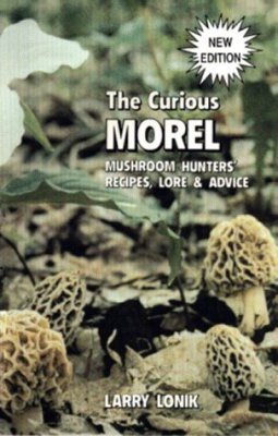 The Curious Morel