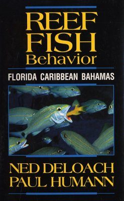 Reef Fish Behaviour