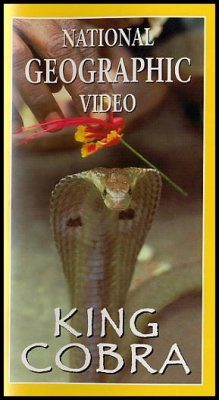 King Cobra