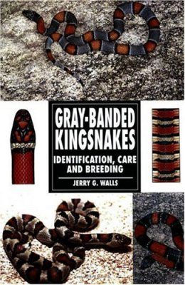 Gray-Banded Kingsnakes