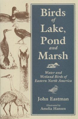 Birds of Lake, Pond and Marsh