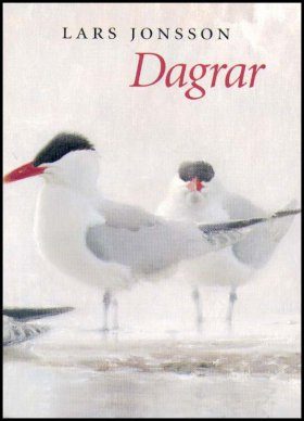 Dagrar