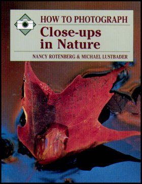 Facts About Great Crested Newts