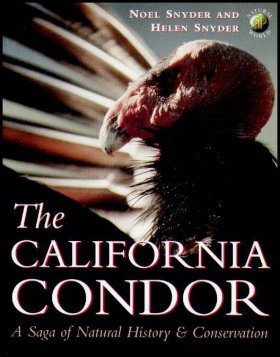 The California Condor