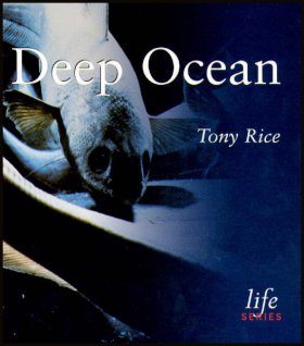 Deep Ocean
