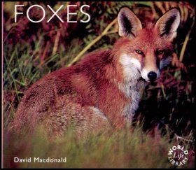 Foxes
