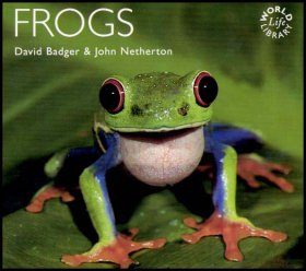 Frogs