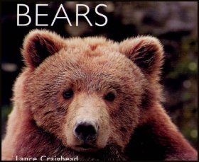 Bears