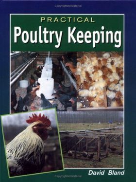 Practical Poultry Keeping