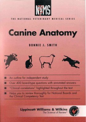 Canine Anatomy