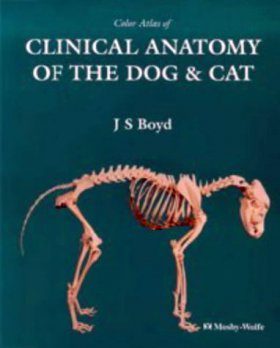 Colour Atlas of Clinical Anatomy of the Dog and Cat