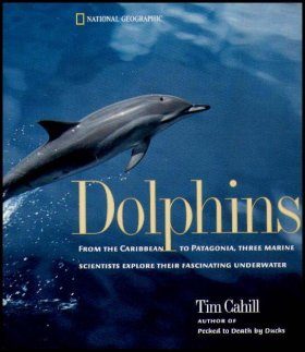 Dolphins