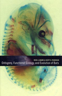 Ontogeny, Functional Ecology, and Evolution of Bats