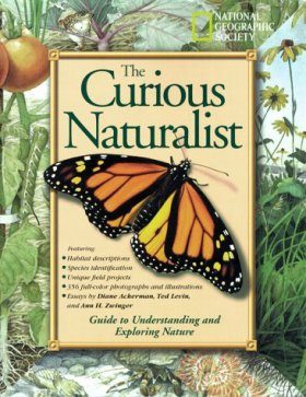 The Curious Naturalist