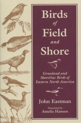 Birds of Field and Shore