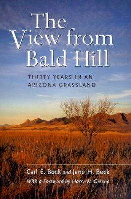 The View from Bald Hill