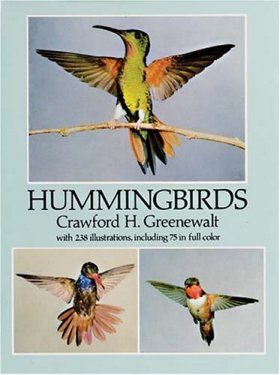 Hummingbirds
