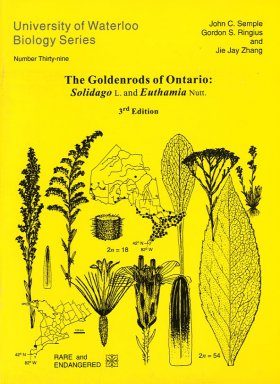 The Goldenrods of Ontario