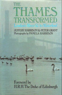 The Thames Transformed
