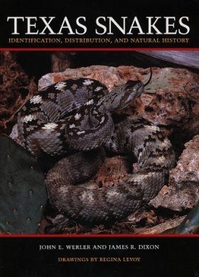 Texas Snakes