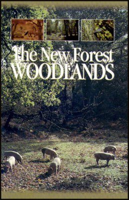 The New Forest Woodlands