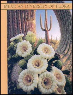 Mexican Diversity of Flora