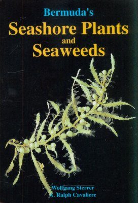 Bermuda's Seashore Plants and Seaweeds