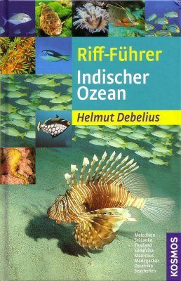 Riff-Führer Indischer Ozean